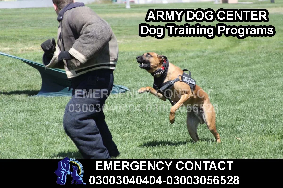 ARMY DOG CENTER Dog Training Programs