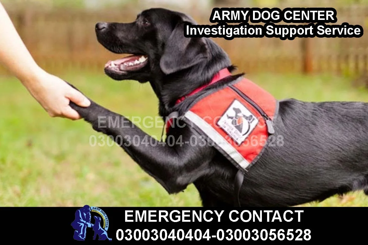 ARMY DOG CENTER Investigation Support Dog Service