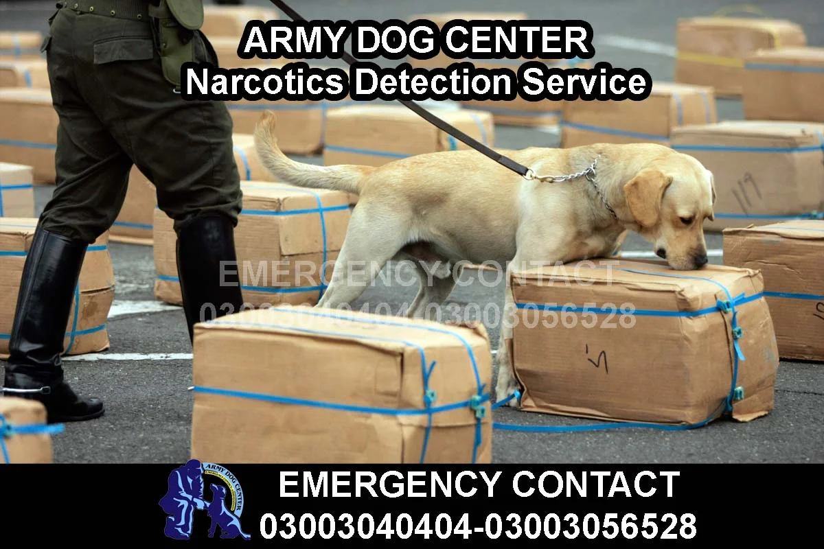 ARMY DOG CENTER Narcotics Detection Service