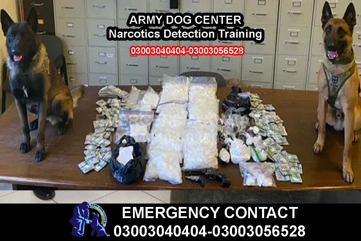 Training 5 ARMY DOG CENTER Narcotics Detection Training