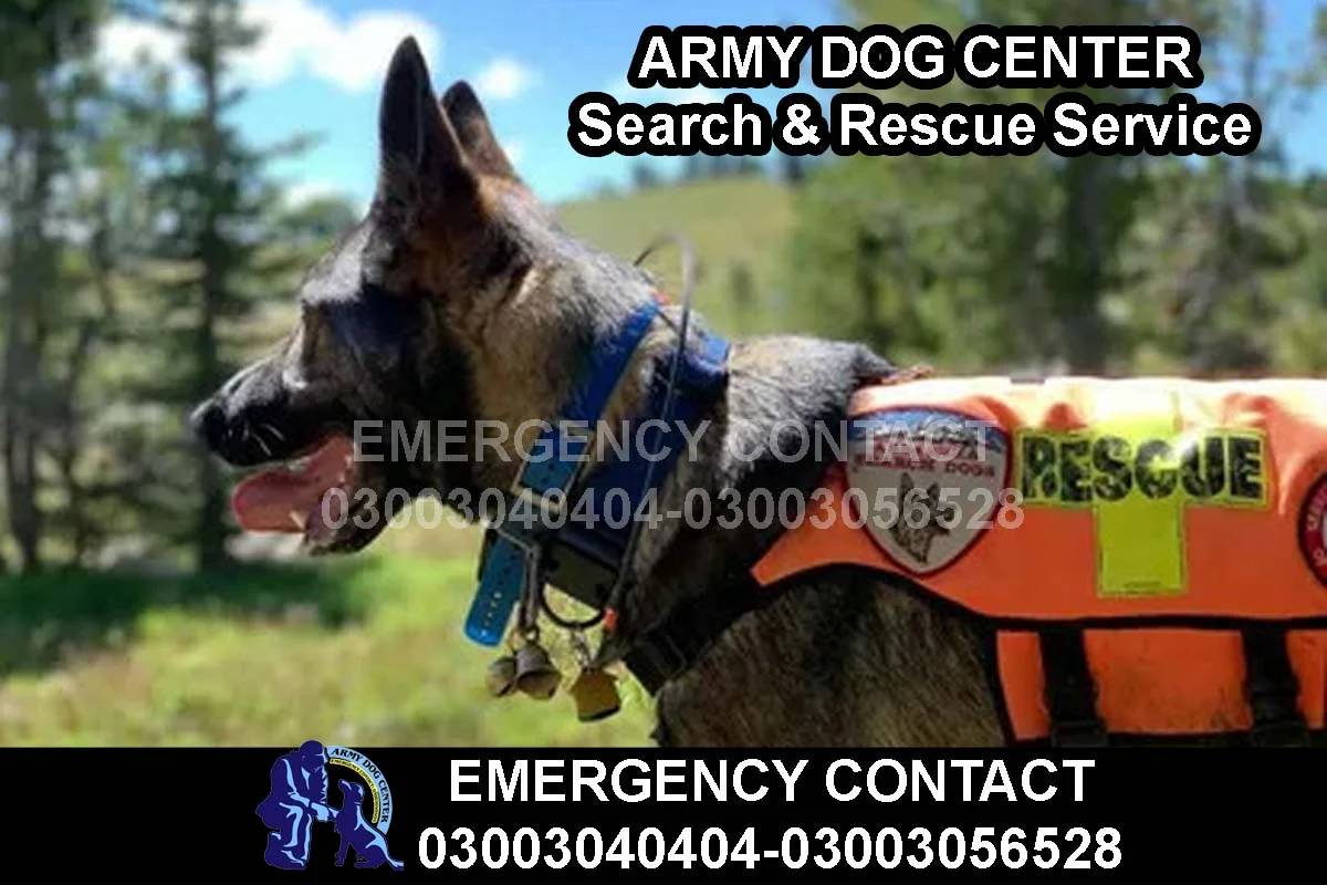 ARMY DOG CENTER Search Rescue Service