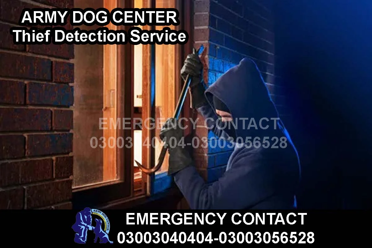 ARMY DOG CENTER Thief Detection dog Service
